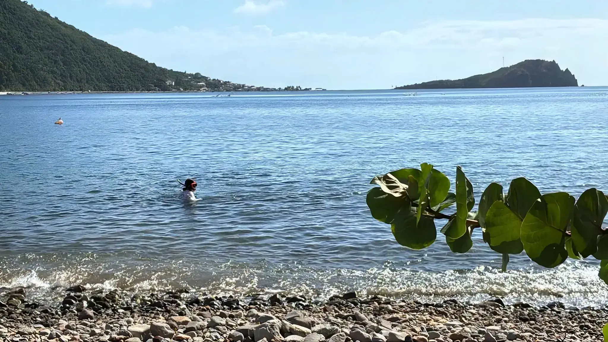 Nature Island Vacation Rentals_Snorkeling