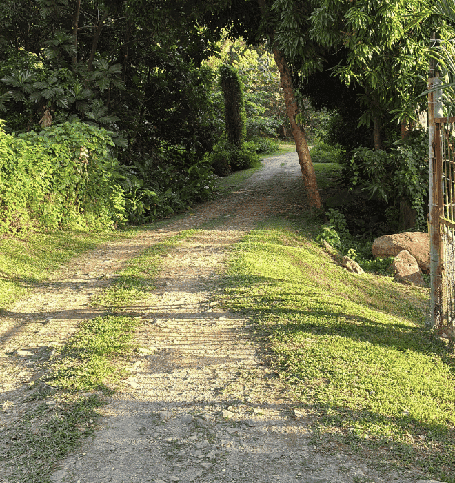 Walk Path